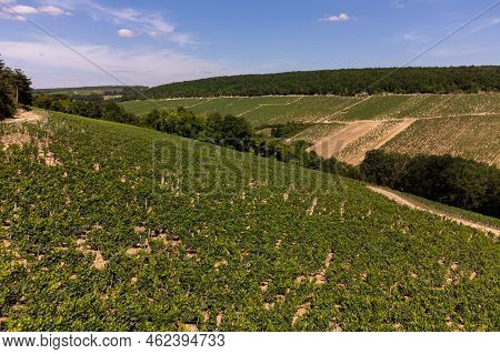Aerial View On Chablis Grand Cru Appellation Vineyards With Grapes Growing On Limestone And Marl Soi