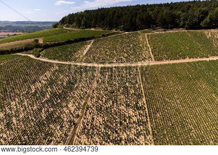 Aerial View On Chablis Grand Cru Appellation Vineyards With Grapes Growing On Limestone And Marl Soi