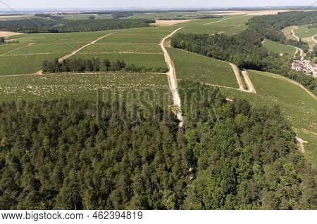 Aerial View On Chablis Grand Cru Appellation Vineyards With Grapes Growing On Limestone And Marl Soi