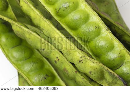 Parkia Speciosa ( Petai, Bitter Bean, Twisted Cluster Bean, Stinker Or Stink Bean) On White Backgrou