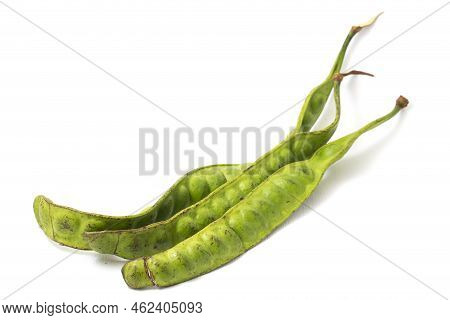 Parkia Speciosa ( Petai, Bitter Bean, Twisted Cluster Bean, Stinker Or Stink Bean) On White Backgrou