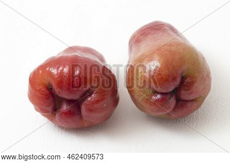 Rose Apples Or Chomphu Or Java Apple Or Syzygium Seed Isolated On White Background