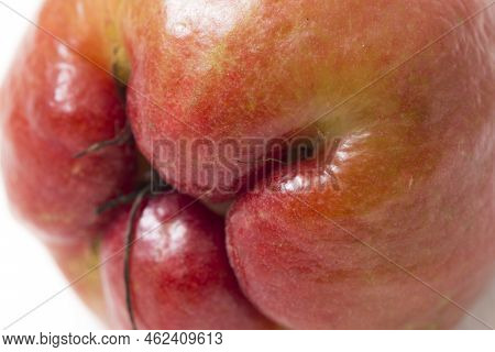 Rose Apples Or Chomphu Or Java Apple Or Syzygium Seed Isolated On White Background