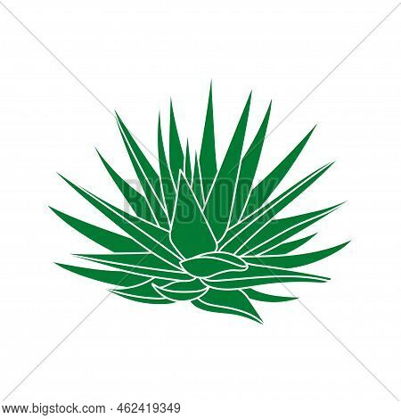 Agave Green Plant In Flat Style. Vector Illustration Isolated On A White Background. Agave Syrup For