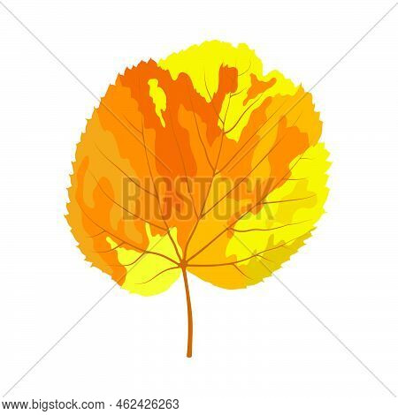 Autumn Linden Leaf. Leaf Fall. Vector Illustration.