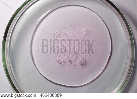 Close-up Of A Light Pink Gel-like Liquid In A Petri Dish. The Concept Of Cosmetic, Medical And Other