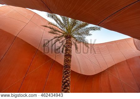 Palm Tree In Concrete Structure In Masdar City, Abu Dhabi, Uae