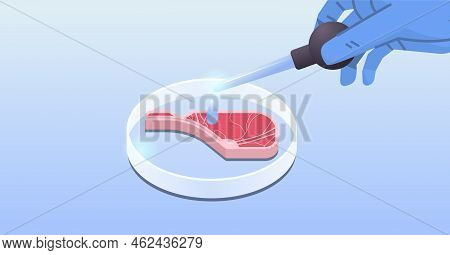 Petri Dish With Beef Steak Cultured Raw Red Meat Made From Animal Cells Artificial Lab Grown Meat Pr