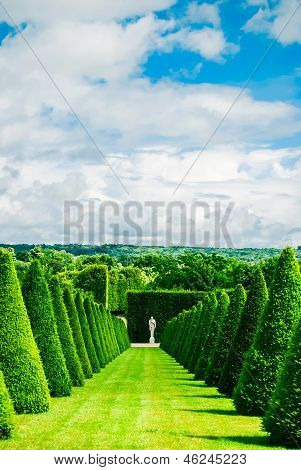 Linee conico siepi e prato, Chateau Versailles, Francia