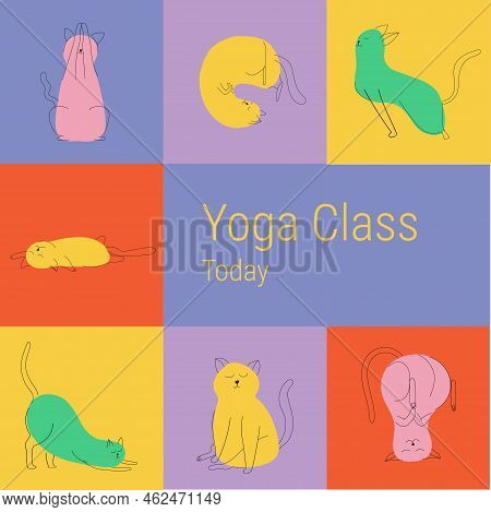 Colored Cat Meditating. Banner For Yoga Class. Vector Line Art Illustration. Kittens With Line And S