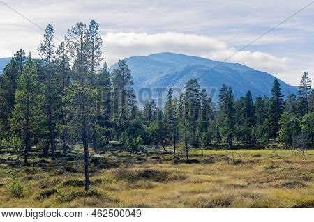 Sollia, Sweden: Mountain Top In The Rondane National Park