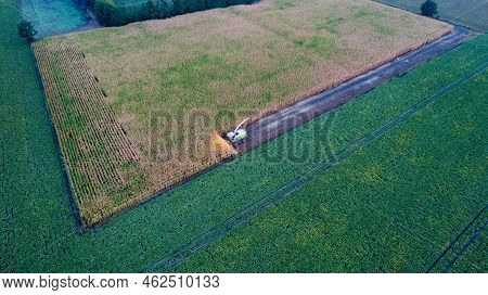 Aerial Drone View Flight Over Combine Harvester That Reaps Dry Corn In Field On An Autumn Day In The