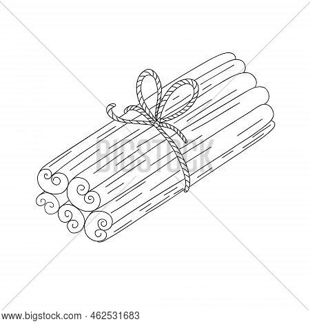 Cinnamon Sticks Spice Bound With Ribbon And Bow Simple Outline Doodle Vector Illustration, Christmas