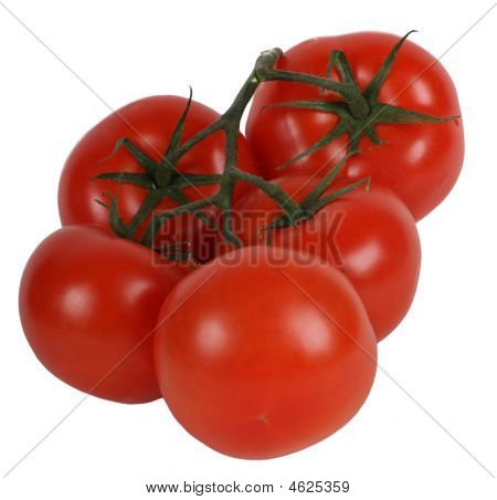 Tomatos ห้ากับ Twig