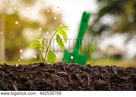 Watering The Ground Barren Drought Environment Infertile