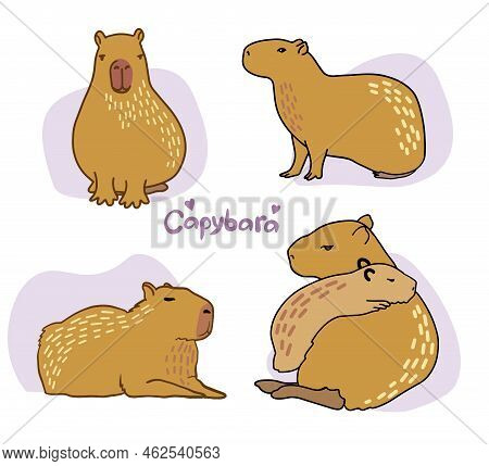 Set Of Cute Capybara. Vector Color Illustration Of Capybara. Drawing Of An Animal In Cartoon Style.