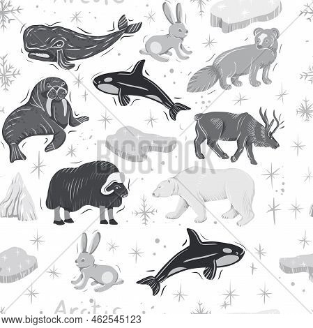 Arctic Animals Nature Wild World Cold North Cute Cartoon Ice Snowflake Polar Bear Muskox Sperm Whale
