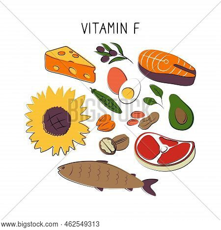 Thiaminvitamin F Linoleic Linolenic Acid. Groups Of Healthy Products Containing Vitamins. Set Of Fru