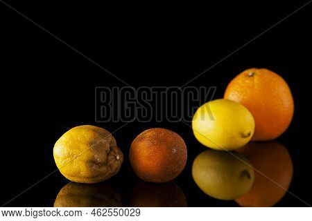 Rotten Lemon And Spoiled Orange On A Blurry Background Of Fresh Citrus Fruits. Selective Focus. Ugly