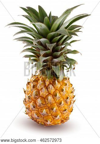 Ripe Pineapple Fruit Isolated On White Background