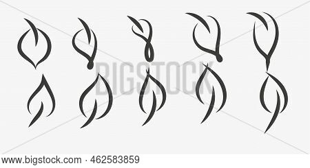 Black Twig, Leaves Or Sprig Silhouettes Collection. Clip Art And Icons Botanical Element. Silhouette