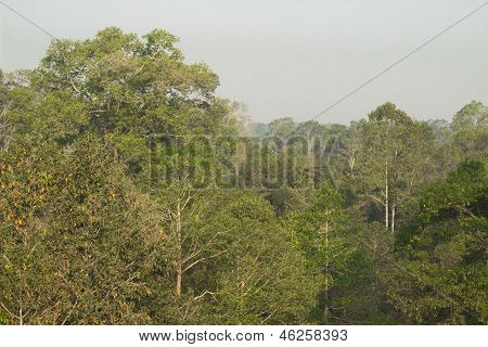 Cambodia.Angkor 扫管笏。