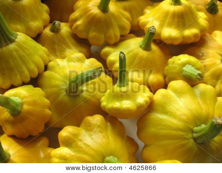 Zucche gialle