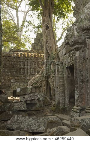 Cambodia.Angkor 扫管笏。