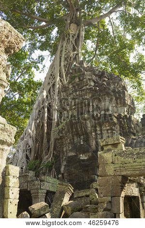 Cambodia.Angkor 扫管笏。