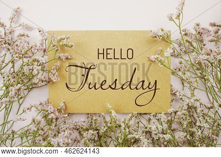 Hello Tuesday Written On Paper Card With Flower Frame Decoraton On Pink Background