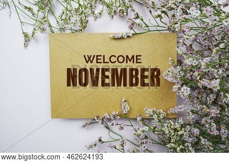 Welcome November Written On Paper Card With Flower Frame Decoraton On Pink Background