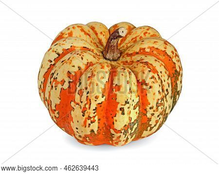 Small Edible Pumpkin, Cucurbita Pepo, Also Called Lil-pump-ke-mon Or Butter Cream Pumpkin On White B