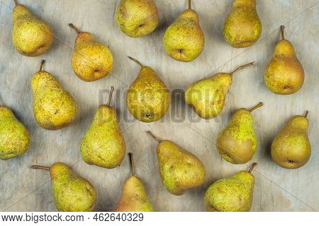 Pears On A Wooden Background. Fruit Harvest. Autumn Still Life. Pear Variety Bera Conference. Vitami