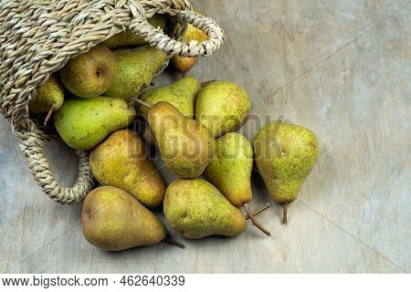 Pears In Basket On A Wooden Background. Fruit Harvest. Autumn Still Life. Pear Variety Bera Conferen