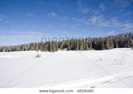 Paisagem de Inverno