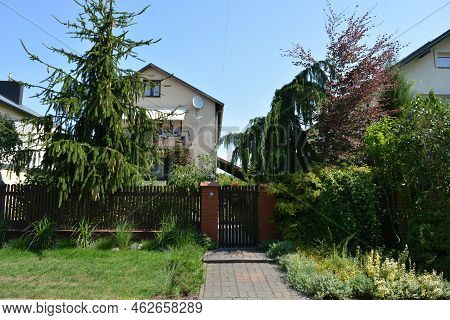 Bright, Doll-like, Stylish Houses, Private Buildings Are Located Around The Amazing Nature, The Bug 