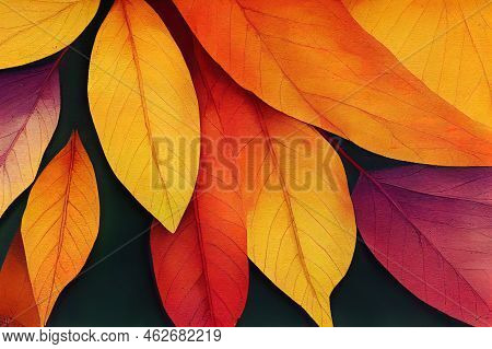 Gradation Of Autumn Color Background 2d Illustration