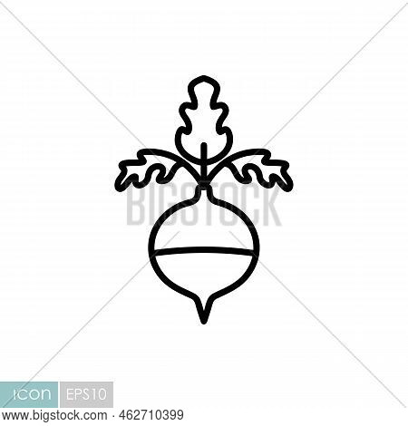 Rutabaga Or Swede Turnip Isolated Design Vector Icon. Vegetable Sign. Graph Symbol For Food And Drin