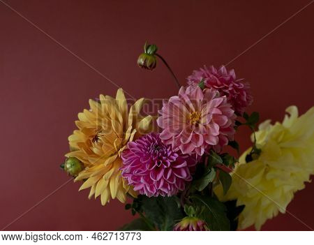 Colorful Orange And Pink Dahlia Flowers Bouquet. Close Up