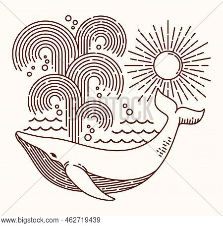 Hand Drawn Sea Whale Line Illustration Vector