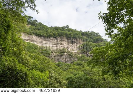 Trees Framing Mountains, Huentitan Canyon In Guadalajara, Mountains And Trees, Green Vegetation And 
