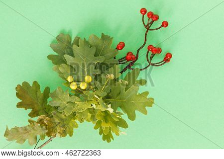 Autumn Oak And Rowan Branches With Red Berries On Green Background.
Creative Paper Trending Backgrou