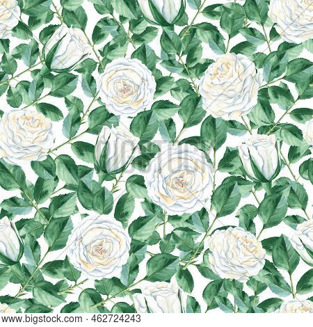 Seamless Pattern With White Roses And Green Leaves On White Background. Rustic Style. Watercolor Ill