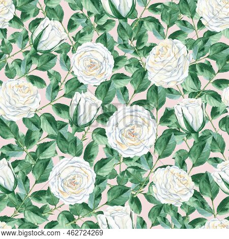 Seamless Pattern With White Roses And Green Leaves On Pink Background. Vintage Style. Watercolor Ill