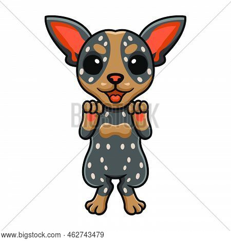Vector Illustration Of Cute Australian Cattle Dog Cartoon