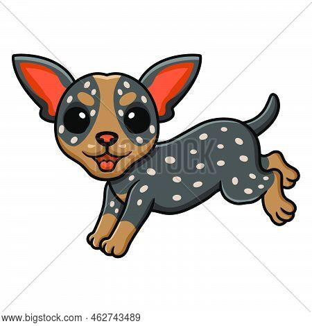 Vector Illustration Of Cute Australian Cattle Dog Cartoon