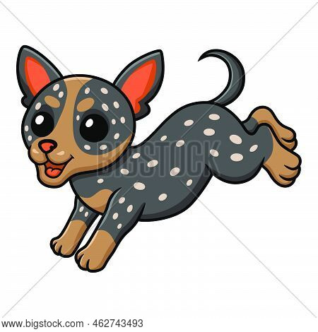 Vector Illustration Of Cute Australian Cattle Dog Cartoon