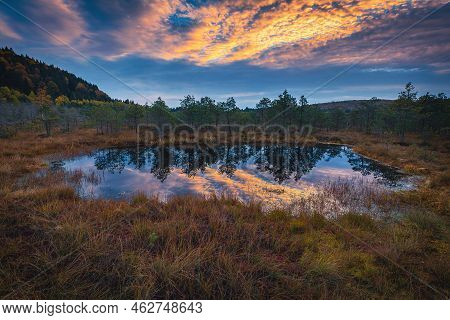 Stunning Autumn Landscape And Small Lake In The Swamp. Admirable Sunrise Lights And Colorful Clouds 