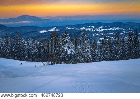 Stunning Snow Covered Pine Forest And Wide, Empty Winter Ski Slope At Sunrise, Poiana Brasov Ski Res