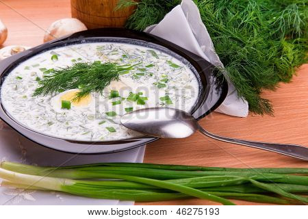 Soupe d'yaourt froide avec l'aneth et le jaune d'oeuf